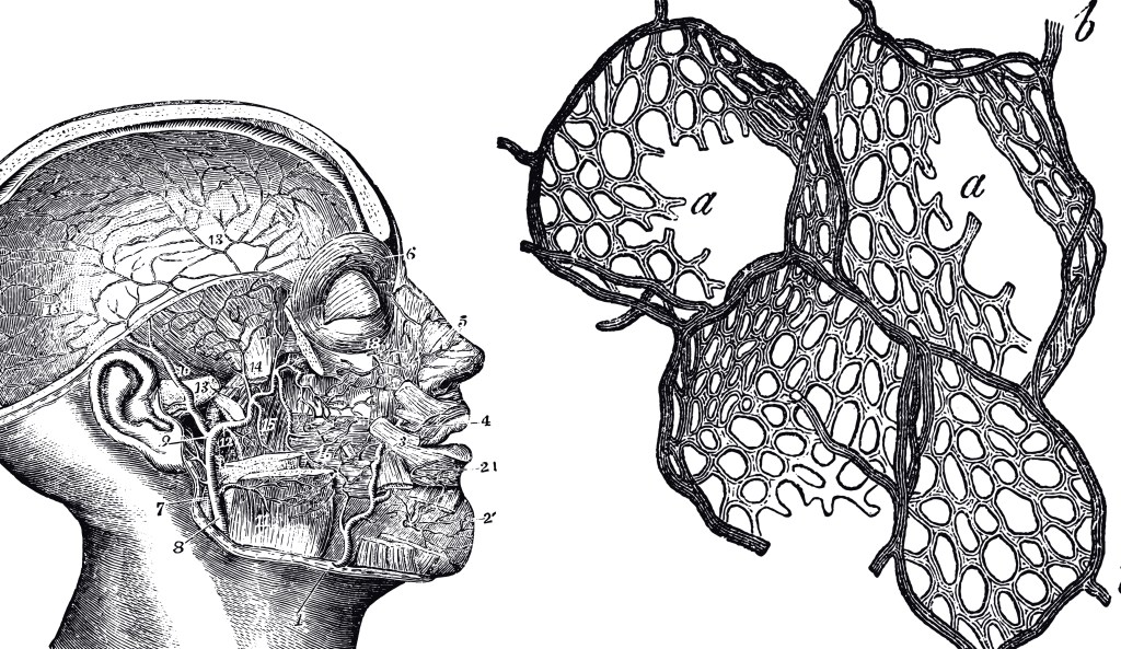 El espacio en el que&nbsp;habito