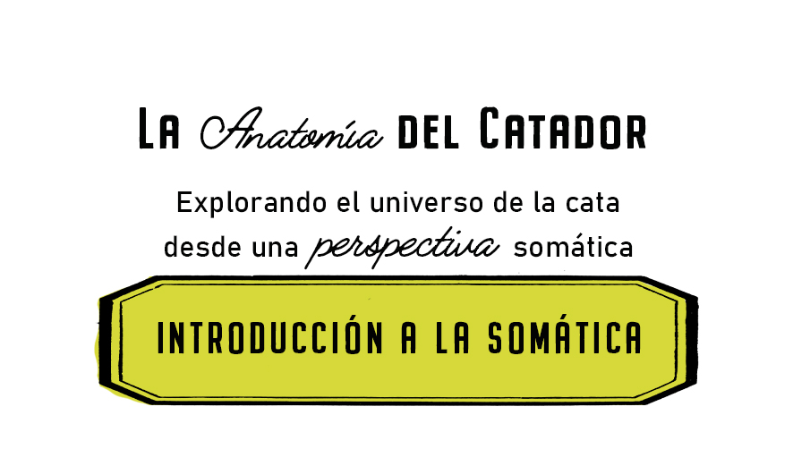 Curso | Introducción a la&nbsp;Somática