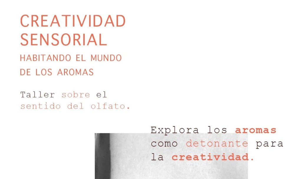 Creatividad Sensorial |&nbsp;a.l.c.o.b.a