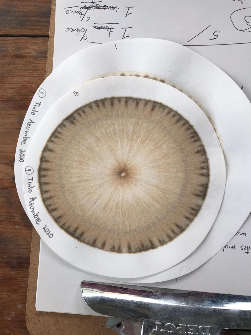 Cartografías de lo&nbsp;invisible