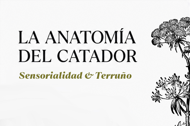 Sensorialidad & Terruño |&nbsp;Qtro